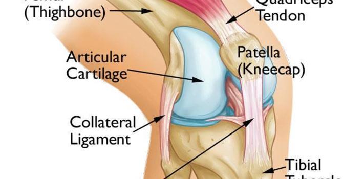 Patellofemoral (Knee) Pain- What is going on?